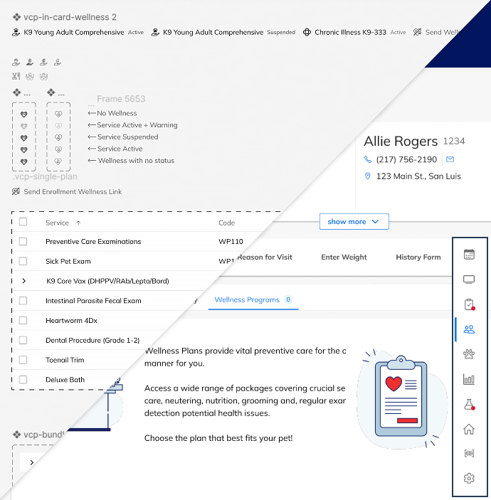 Project Piece: Pet Care Plans SaaS Platform — Module Integration | Silvia Reinhardt Portfolio | UX Architect, Creative Technologist & Digital Ecosystem Strategist