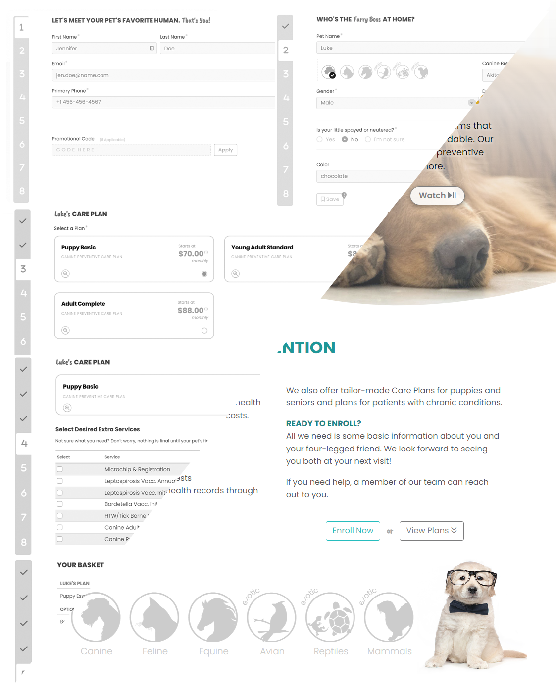 Project Piece: Pet Care Plans B2B Platform — Full Platform Revamp | Silvia Reinhardt Portfolio | UX Architect, Creative Technologist & Digital Ecosystem Strategist